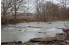 Property photo 18 - ABSOLUTE AUCTION - 298 Acres Offered in 4 Tracts